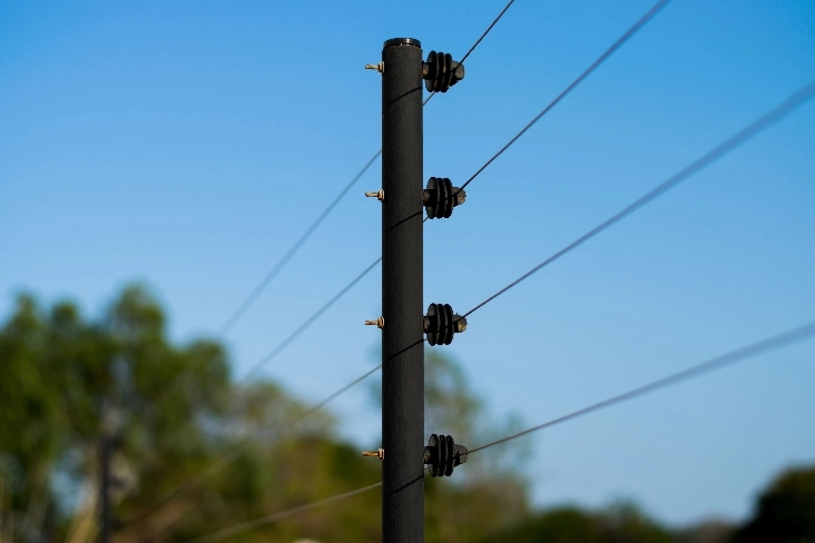 cerco eléctrico, empresa de seguridad privada